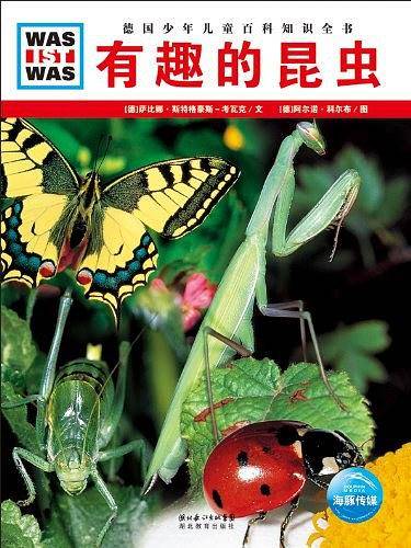 有趣的昆虫