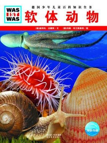 软体动物
