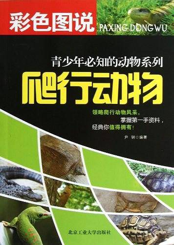 爬行动物