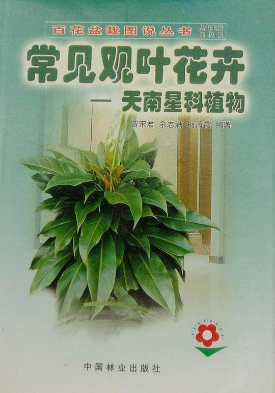 常见观叶花卉：天南星科植物——百花盆栽图说丛书