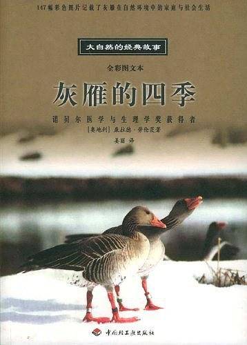 灰雁的四季/大自然的经典故事