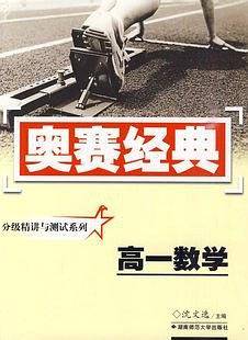 奥赛经典·分级精讲与测试系列-高一数学