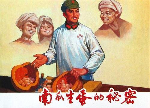 南瓜生蛋的秘密