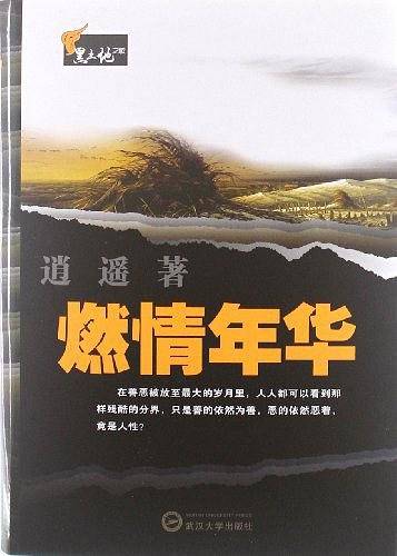 燃情年华