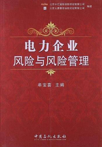 电力企业风险与风险管理