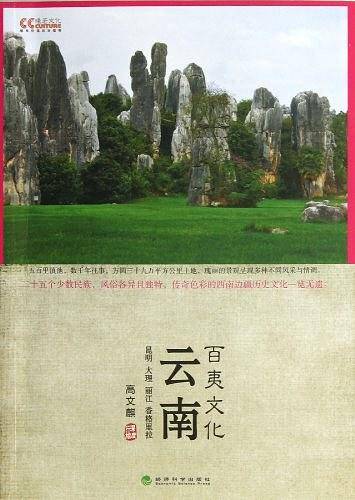云南百夷文化
