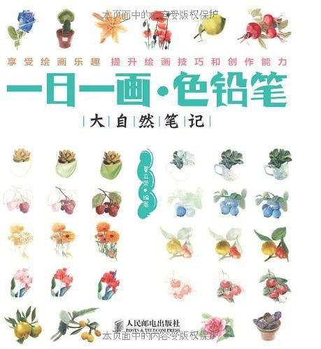 一日一画·色铅笔——大自然笔记