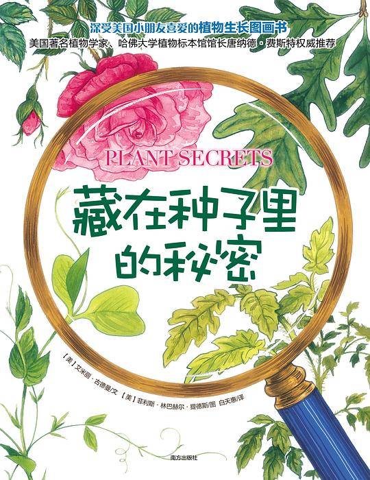 藏在种子里的秘密