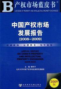 中国产权市场发展报告