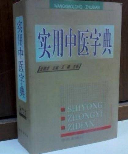 实用中医字典