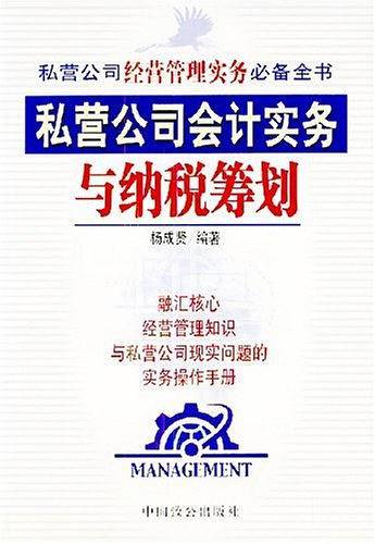 私营公司会计实务与纳税筹划