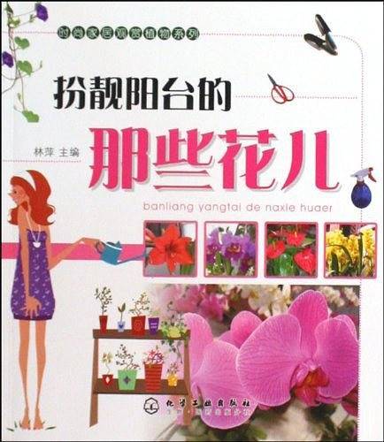 扮靓阳台的那些花儿