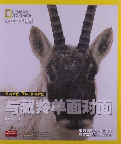 与藏羚羊面对面/美国国家地理