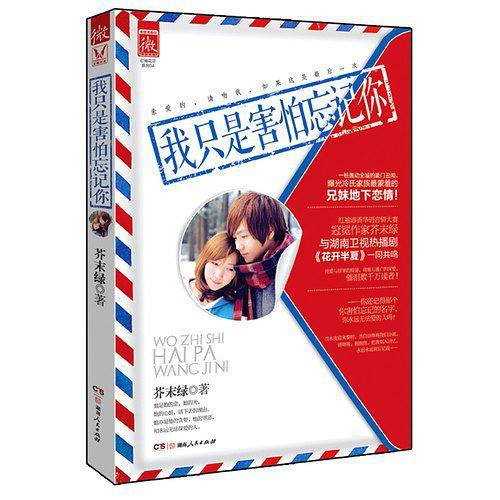 我只是害怕忘记你