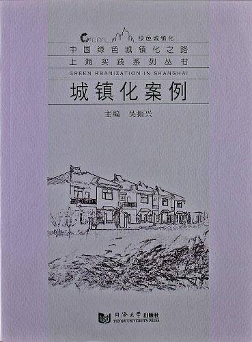城镇化案例