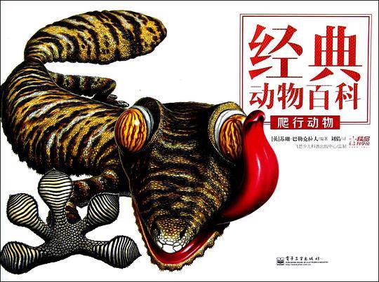 爬行动物