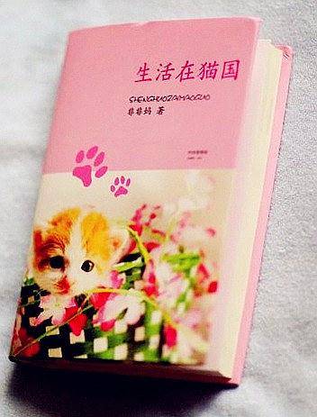 生活在猫国