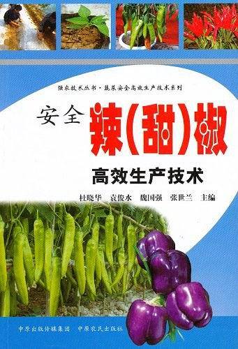 安全辣
