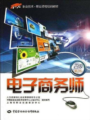 电子商务师第2版——1+X职业技术 职业资格培训教材