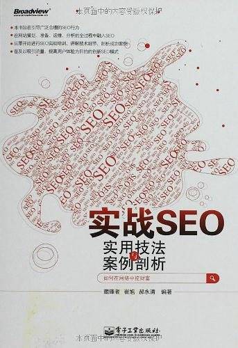 实战SEO――实用技法与案例剖析