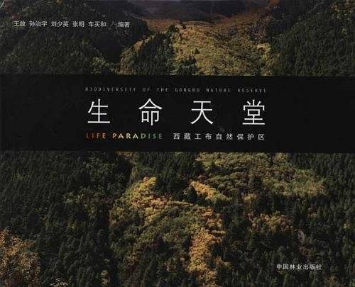 生命天堂