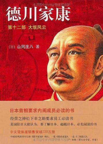 德川家康12：大坂风云
