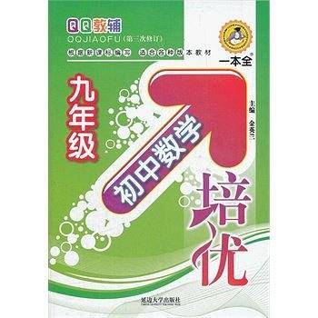 初中数学培优·九年级