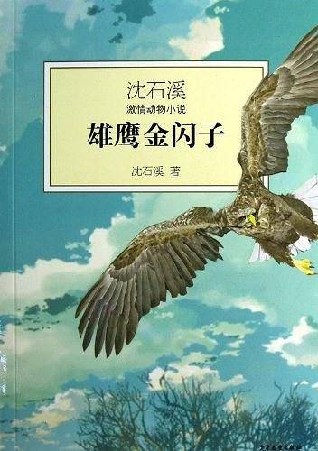 沈石溪激情动物小说--雄鹰金闪子