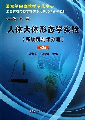 人体大体形态学实验