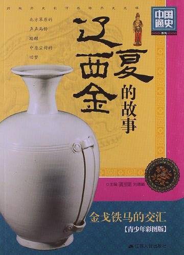 辽.西夏.金的故事