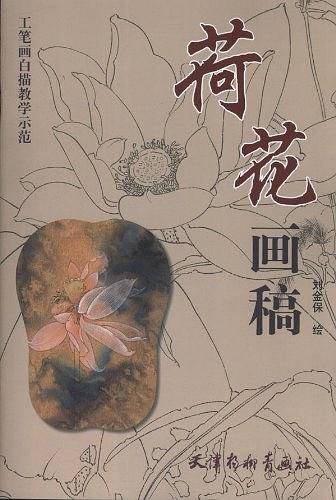 荷花画稿