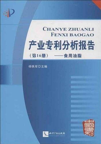 产业专利分析报告