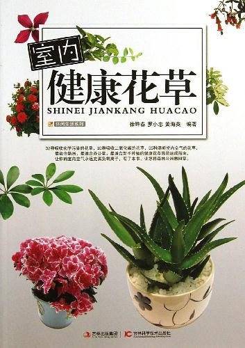 室内健康花草