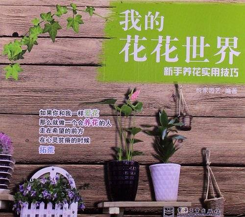 我的花花世界——新手养花实用技巧
