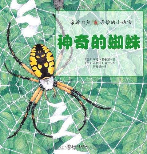 神奇的蜘蛛-亲近自然奇妙的小动物