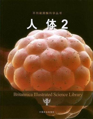 人体2
