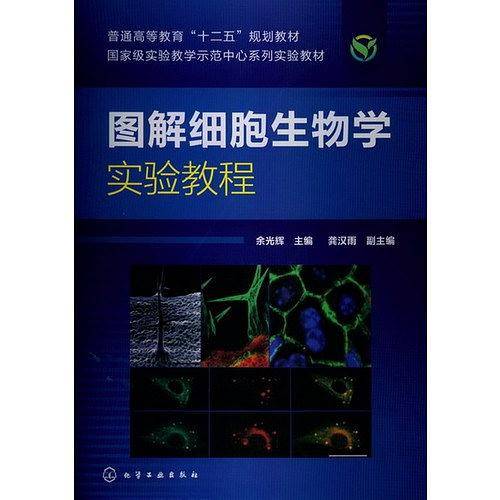 图解细胞生物学实验教程