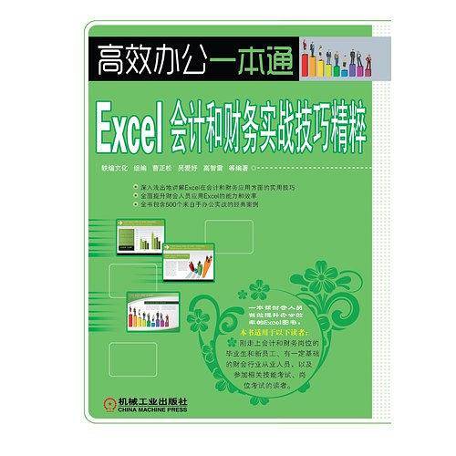 Excel会计和财务实战技巧精粹