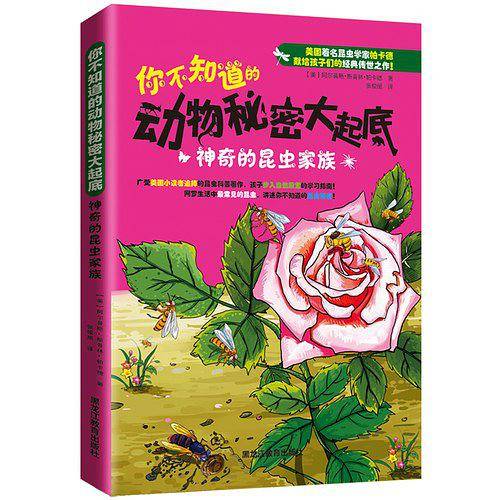 你不知道的动物秘密大起底:神奇的昆虫家族