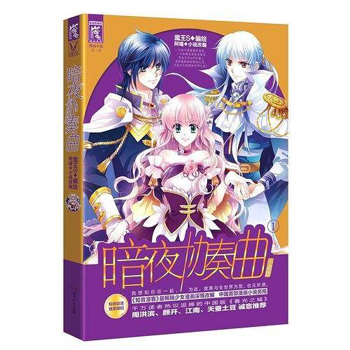 暗夜协奏曲 小说版①