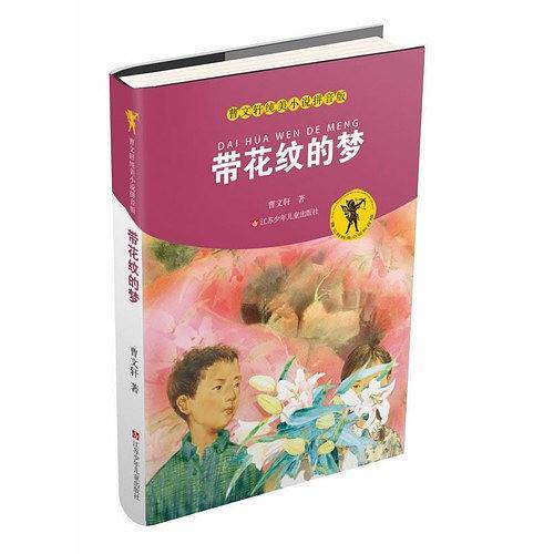 曹文轩纯美小说拼音版：带花纹的梦