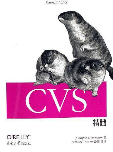 CVS精髓