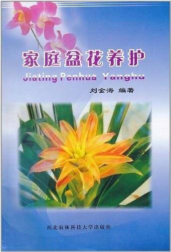 家庭盆花养护