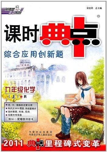 九年级化学