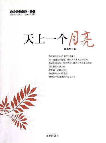 天上一个月亮