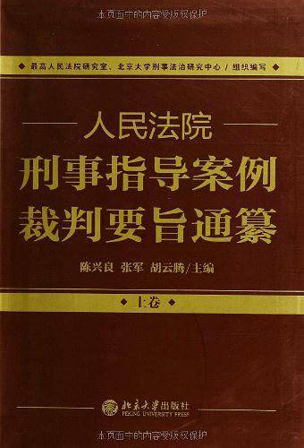 人民法院刑事指导案例裁判要旨通纂