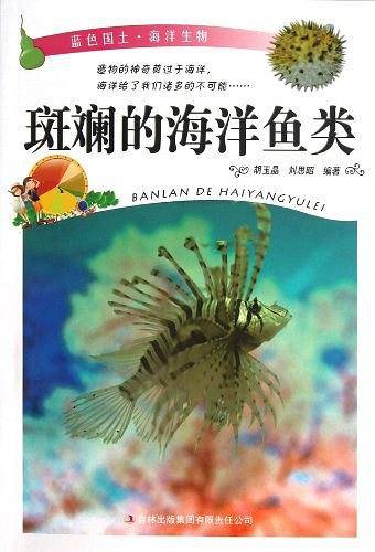 60.蓝色国土 斑斓的海洋鱼类
