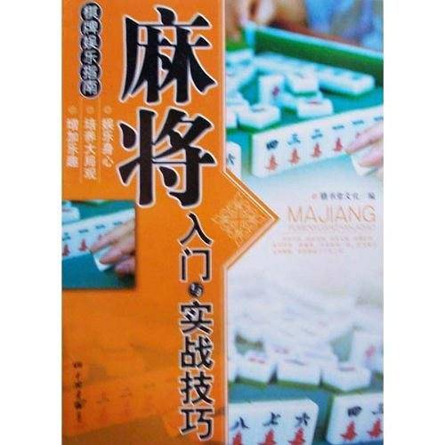 麻将入门与实战技巧――棋牌娱乐指南