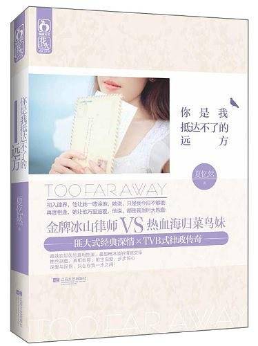 你是我抵达不了的远方