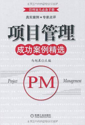 项目管理成功案例精选